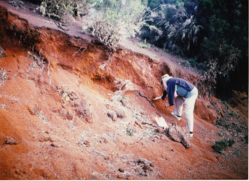 samples of earth/soil [photo: Joana Schwender (2015)]