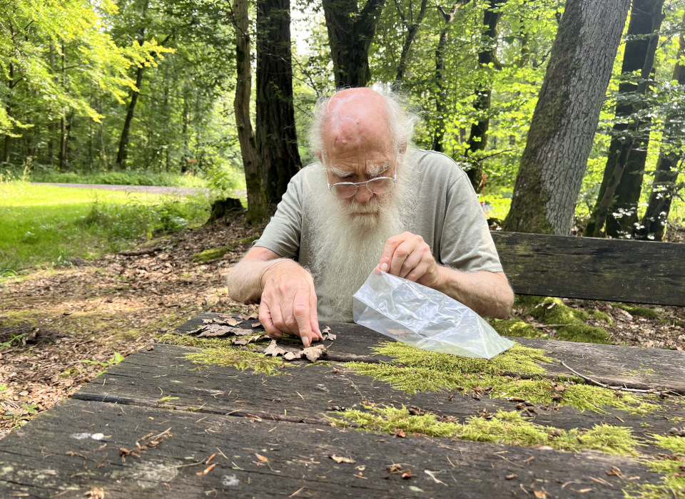 collecting [photo: Wolfgang Aull (2024)]